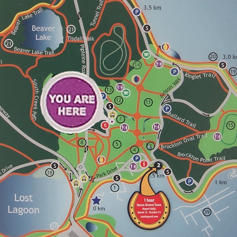 You are here 0264